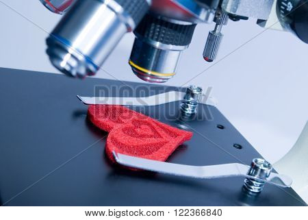 Red heart under microscope objectives (in blue tones)