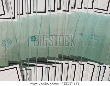 Slide For Optical Microscope