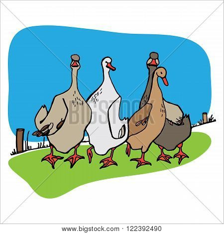 Four geese on the walk. Abstract vector illustration.