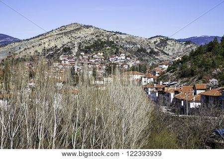 High angle view of Goynuk town with aspen trees in the foreground. Goynuk is a town and a district of Bolu Province in the Black Sea region of Turkey.