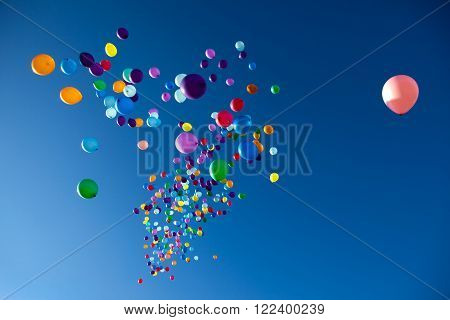 colorful balloons on a blue sky background
** Note: Visible grain at 100%, best at smaller sizes