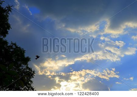 Clear sky with clouds - the sky in a day