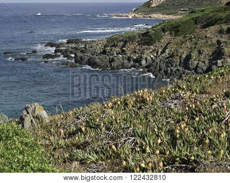 the coastline of the Island of corsica