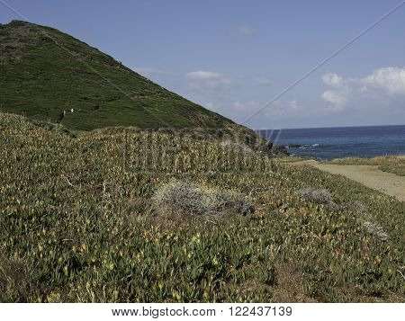 the coastline of the Island of corsica