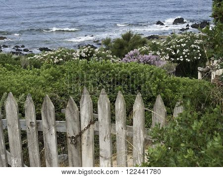 the beautifull French Island of corsica in the mediterranean