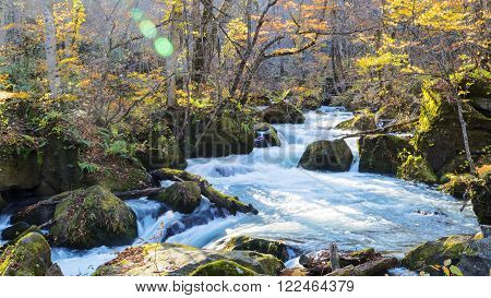 Mysterious Oirase Stream Flowing Through The Autumn Forest In Towada Hachimantai National Park In Ao