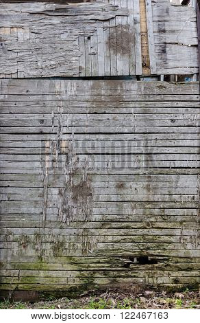 Texture of old wood planks from horisontal