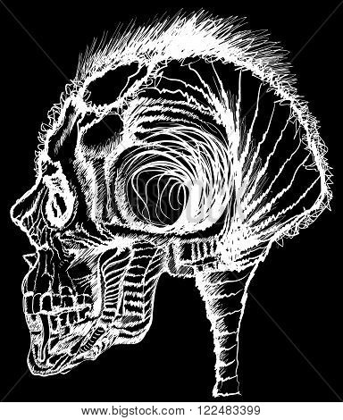 skull illustration / a mark of the danger warning / T-shirt graphics / cool skull illustration