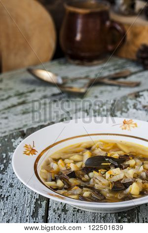 traditional Russian cabbage soup shchi with mushrooms in a rustic style
** Note: Shallow depth of field