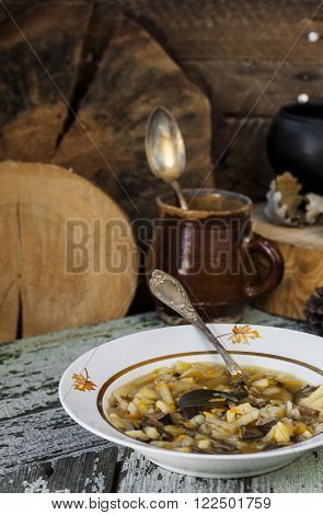 traditional Russian cabbage soup shchi with mushrooms in a rustic style
** Note: Visible grain at 100%, best at smaller sizes