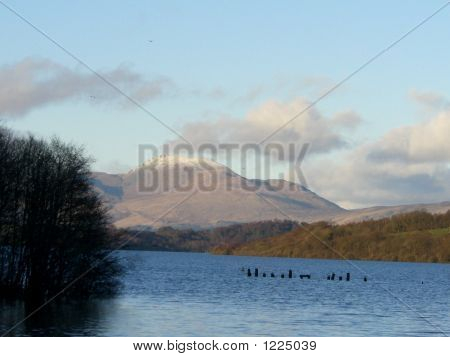 Benlomond