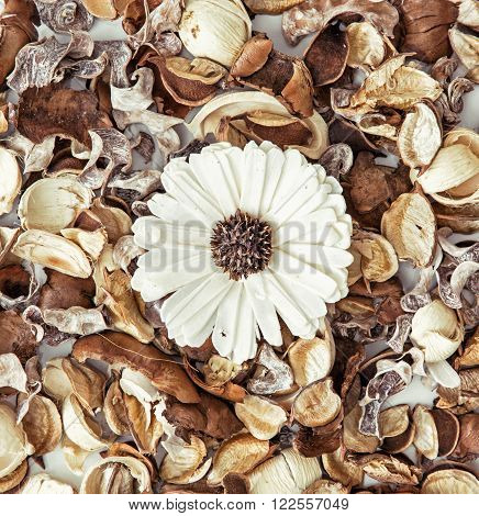 Decoration of dried flowers. Natural beauty. Spa theme.