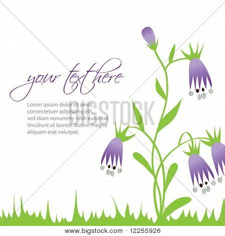 Bell-flor vector