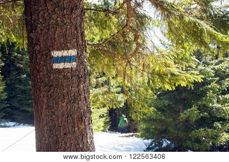 Hiking tourist trail sign on the treewalking the mountain path.