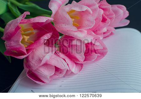 Tulips on empty notebook. Spring flowers. March 8th mother's day valentine's day International Women's Day congratulate. Copy space. Toned image.