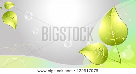Abstract Eco Background Green Leaves On Grey Background