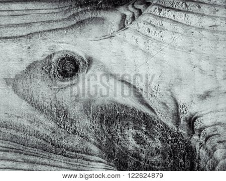 Old natural wooden shabby background close up