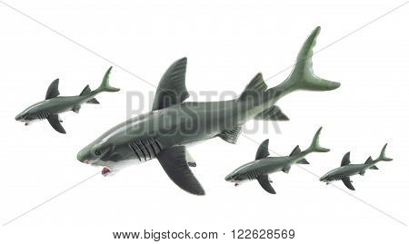 Rubber Sharks on an Isolated White Background