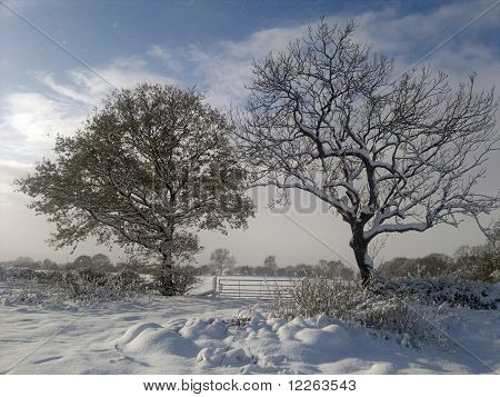Vinter scen i Derbyshire