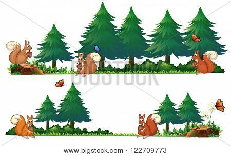 Squarrels in the field illustration