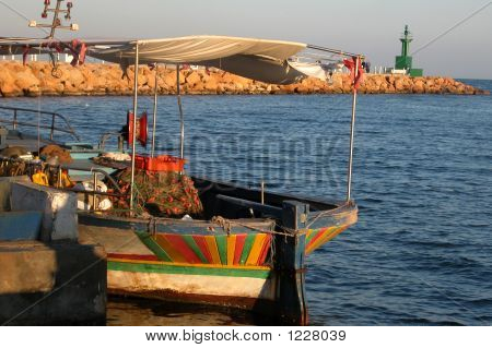 Barca orientale