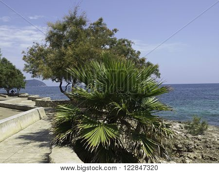 the Island of Mallorca in the spanish mediterranean