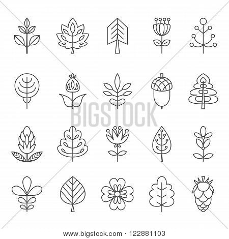 Set of outline stroke icons with tress leaves and flowers. Vector illustration for your cute design. It can be used as - logo pictogram icon infographic element.