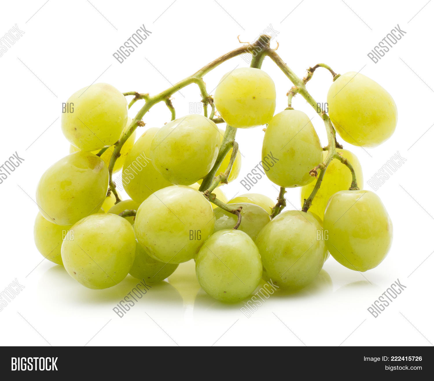 Green Grape Bunch ( Image & Photo (Free Trial) Bigstock