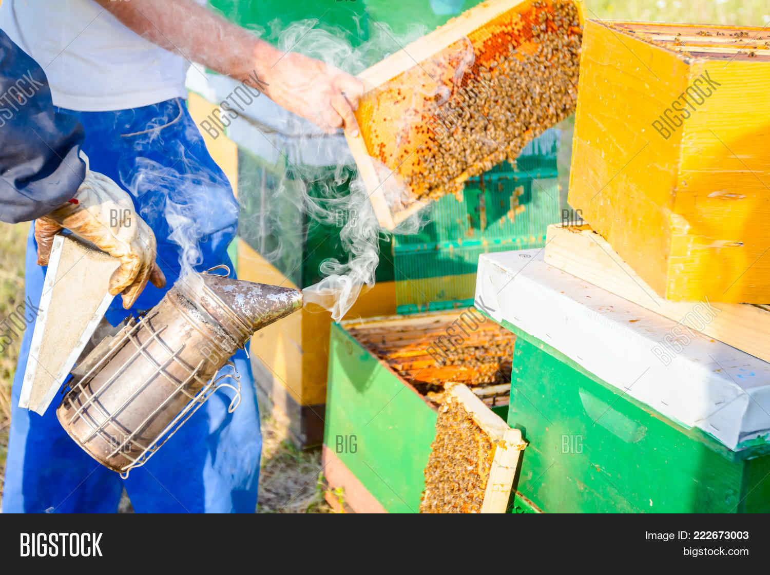 Image Preview