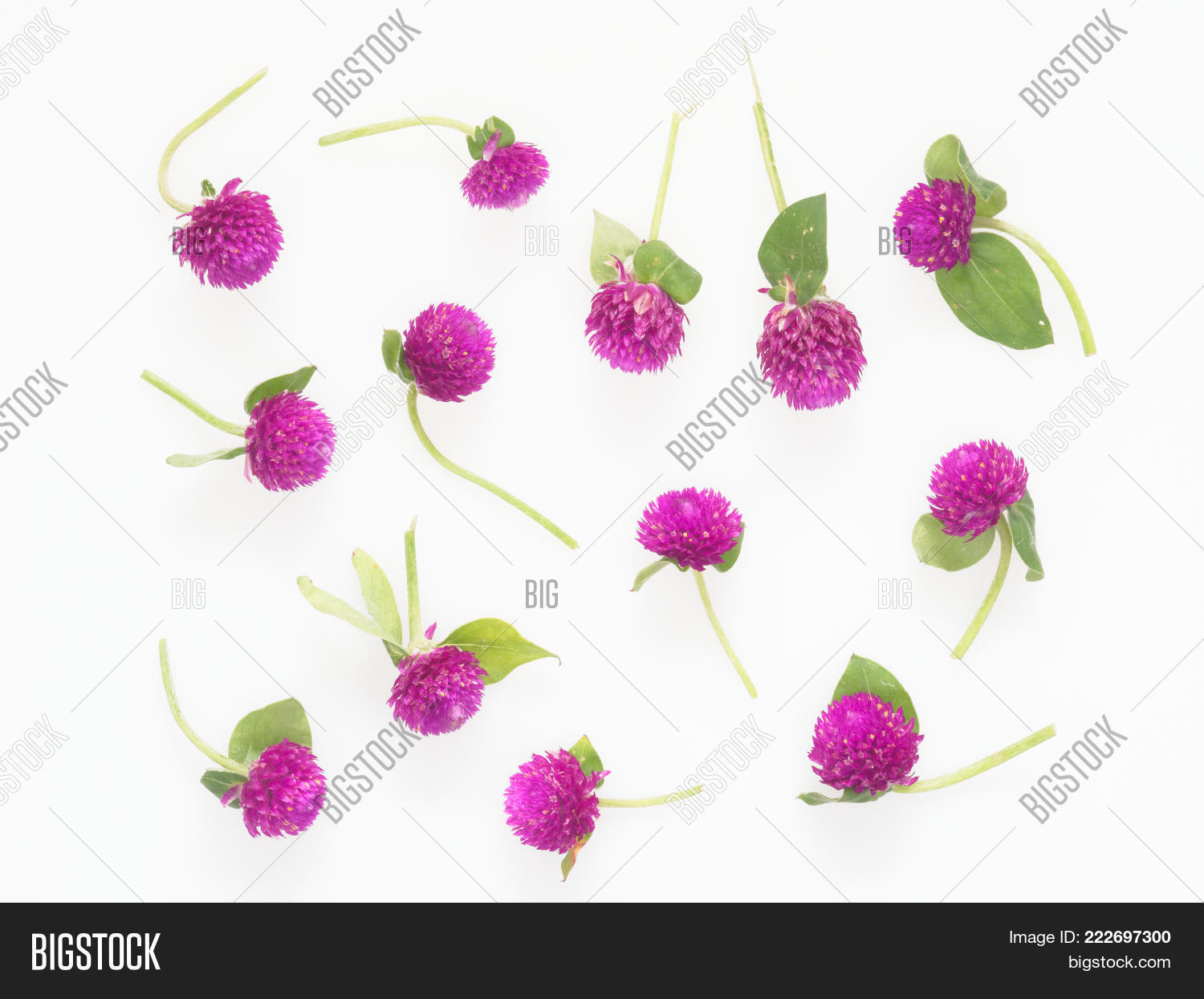 Image Preview