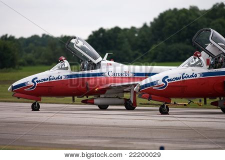 Kanadyjskie siły zbrojne Snowbirds
