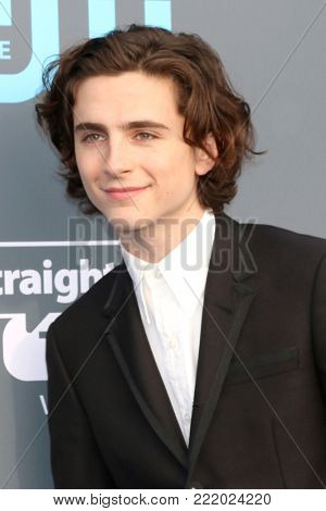 LOS ANGELES - JAN 11:  Timothee Chalamet at the 23rd Annual Critics' Choice Awards at Barker Hanger on January 11, 2018 in Santa Monica, CA