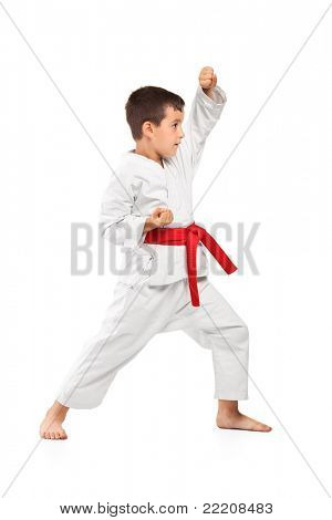 完全な長さの肖像画ポーズ ベストキッドの白い背景を分離