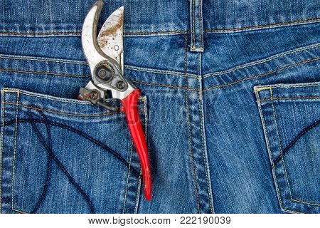 Pruning Shears In The Pocket Of Blue Jeans