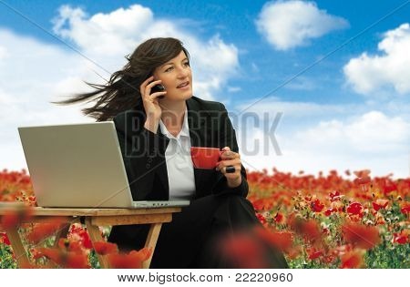 businesslady avec ordinateur portable travaille dans un champ plein de coquelicots. Mot clé unique pour cette collection j'ai