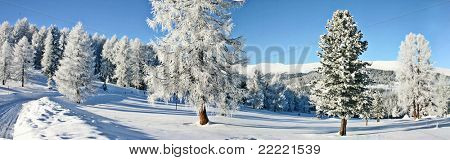 winterlandscape โรแมนติก