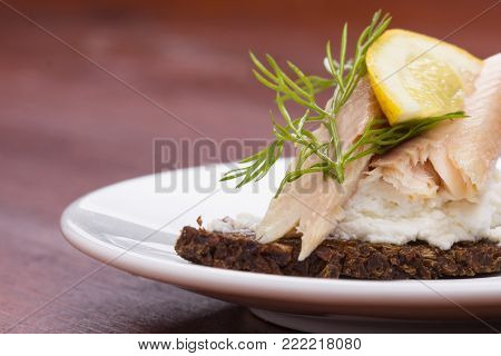 Smoked trout tartine with a slice of lemon and piece of dill.