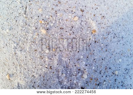 Natural salt on the coast of the Dead Sea.