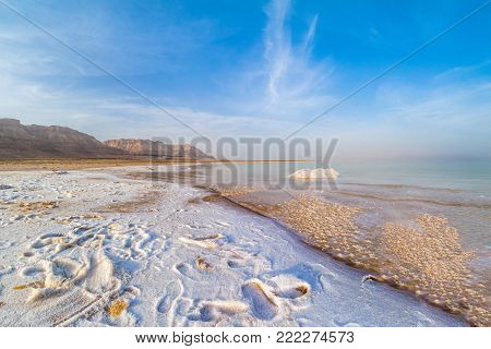 Salty Coast Of The Dead Sea.