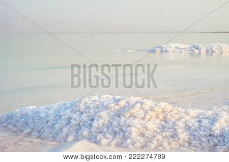 Salty Coast Of The Dead Sea.