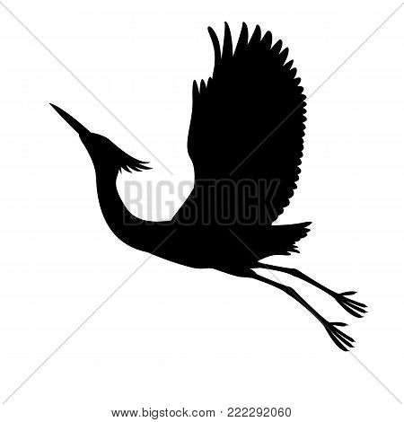 white heron vector illustration  black silhouette profile view