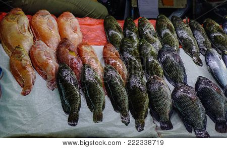 Fish Market In Manila, Philippines