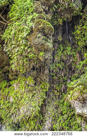 Thin streamlets of water flow from the rocks.