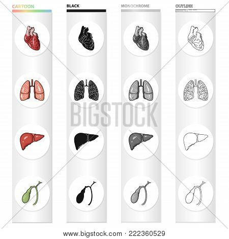 Heart, internal organ, lung of a person, liver, gall bladder. Human organs set collection icons in cartoon black monochrome outline style vector symbol stock illustration .