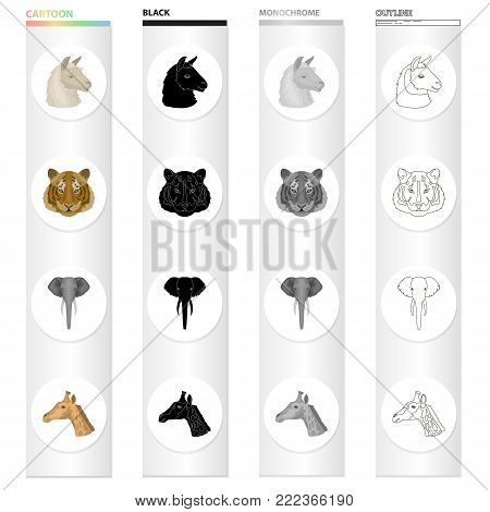Wild animal llama, tiger, elephant, giraffe.Realistic animal set collection icons in cartoon black monochrome outline style vector symbol stock illustration .