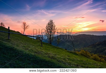 grassy slope rural area at sunset. beautiful mountainous landscape of Ukainian Carpathians in springtime