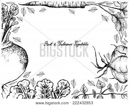 Root and Tuberous Vegetables, Illustration Frame of Hand Drawn Sketch of Fresh Turnip, Burdock and Ahipa Plants with Leaves Isolated on White Background