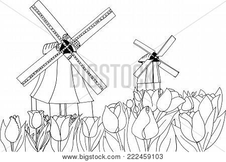 Blooming tulips on the background of windmills. Holland landscape. Freehand sketch drawing for adult antistress coloring book