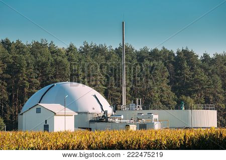 Biogas Plant Or Bioreactor For Fermentation Of Chicken Manure.