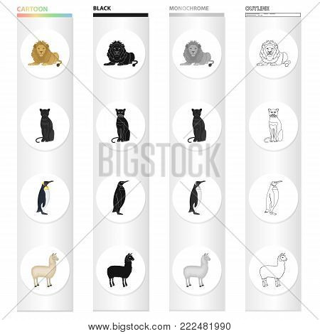 Wild animal predator, lion, panther, bird penguin, llama. Different kinds of animal set collection icons in cartoon black monochrome outline style vector symbol stock illustration .